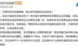 天津最新爆料消息,揭秘城市新动态与热点事件