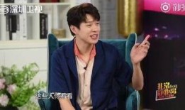 魏大勋何炅爆料视频在线观看,揭秘娱乐圈幕后故事